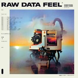 Album cover of Raw Data Feel