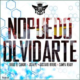 Album cover of No Puedo Olvidarte