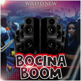 Album cover of Bocina Boom
