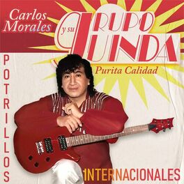 Album cover of Potrillos Internacionales