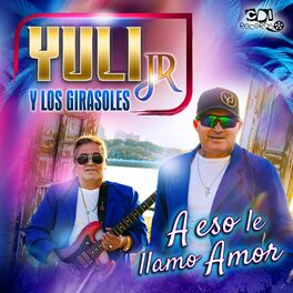 Album cover of A Eso Le Llamo Amor