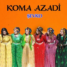 Album cover of Şevko