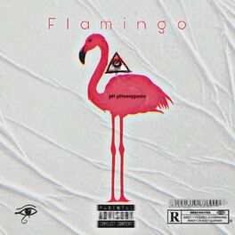 Album cover of Flamingo