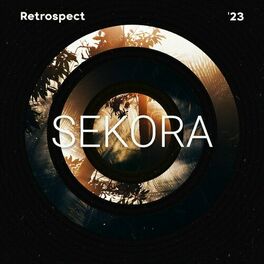 Album cover of Sekora in Retrospect 2023