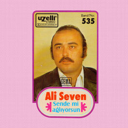 Album cover of Sen de mi Ağlıyorsun