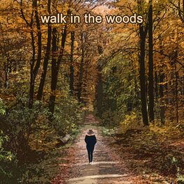 Album cover of Walk in the Woods