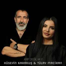 Album cover of Ayıp Değil Mi ?