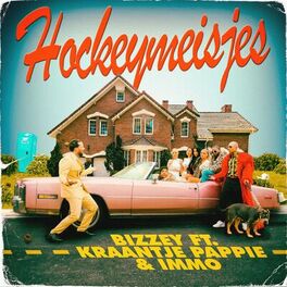 Album cover of Hockeymeisjes