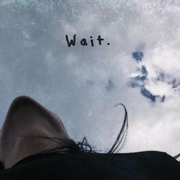 Album cover of WAIT. (feat. Chelsea Wolfe)