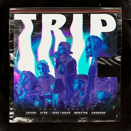 Album cover of TRIP