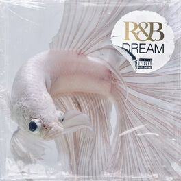 Album cover of RnB Dream