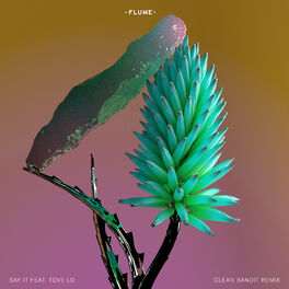 Album cover of Say It (Clean Bandit Remix)