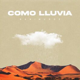 Album cover of Como Lluvia