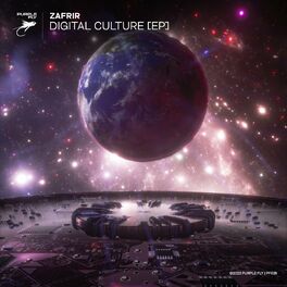 Album cover of Digital Culture