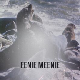 Album cover of Eenie meenie