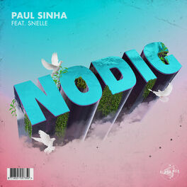 Album cover of Nodig