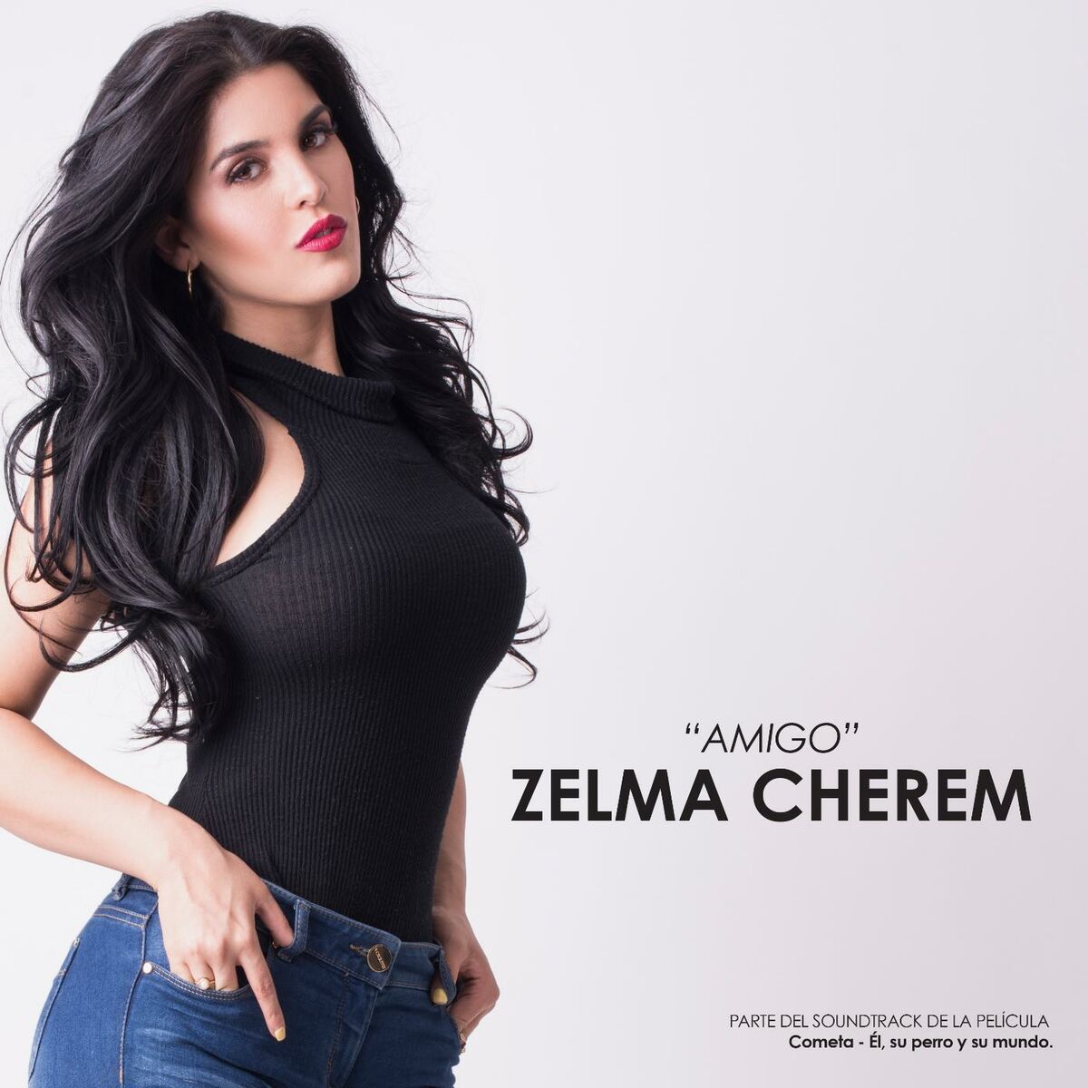 Zelma Cherem - Amigo: lyrics and songs | Deezer