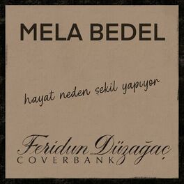 Album cover of hayat neden şekil yapıyor