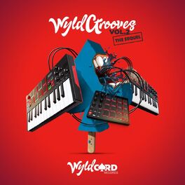 Album cover of WyldGrooves Vol.2 the Sequel