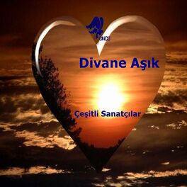 Album cover of Divane Aşık
