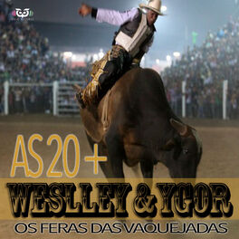 Album cover of Weslley & Ygor - As 20 +