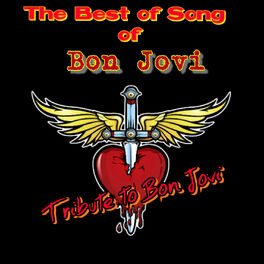 Album picture of The Best of Song of Bon Jovi