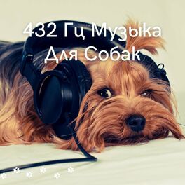 Album cover of 432 Гц Музыка Для Собак - Расслабляющие Звуки Для Вашей Собаки