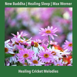 Album cover of Healing Cricket Melodies