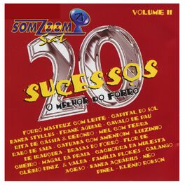 Album cover of 20 Sucessos Somzoom Sat, Vol. II (O Melhor do Forró)