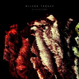 Album cover of Au fil du temps