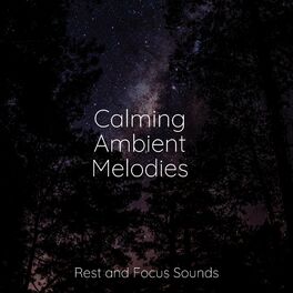 Album cover of Calming Ambient Melodies