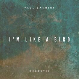 Album cover of I'm Like a Bird (Acoustic)