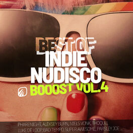 Album cover of Best of Indie NuDisco Booost Vol.4