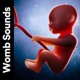 Album cover of Womb Sounds