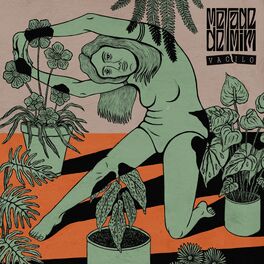 Album cover of Vacilo