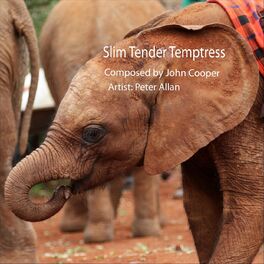 Album cover of Slim Tender Temptress