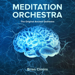 Album cover of Meditation Orchestra the Original Ancient Orchestra