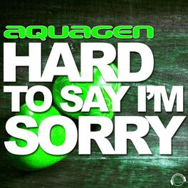 Album cover of Hard to Say I'm Sorry (More Remixes)