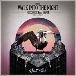 Album cover of Walk Into The Night