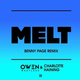Album cover of Melt (Benny Page Remix)