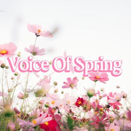 Album cover of Voice Of Spring