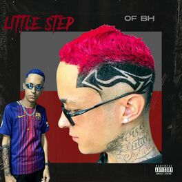 Album cover of Little Step Of BH