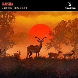 Album cover of Kaisha