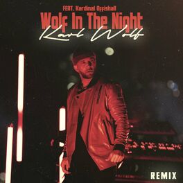 Album cover of Wolf In The Night (Remix)