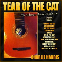 Album cover of Year Of The Cat- The Ultimate Acoustic Collection