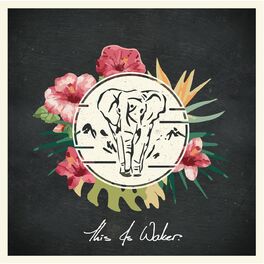 Album cover of This Is Waker