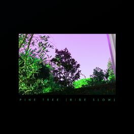 Album cover of Pine Tree (Ride Slow)