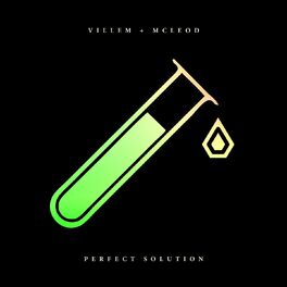 Album cover of Perfect Solution