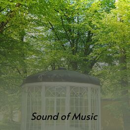 Album cover of Sound of Music