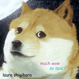 Album cover of much wow, so space
